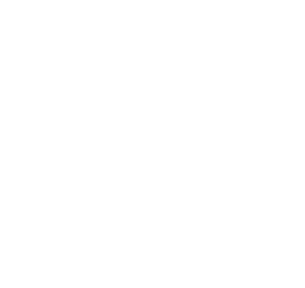 Brandon's Diner Footer Logo
